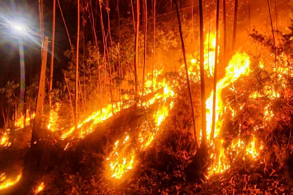 Incêndios em Arouca - julho de 2025