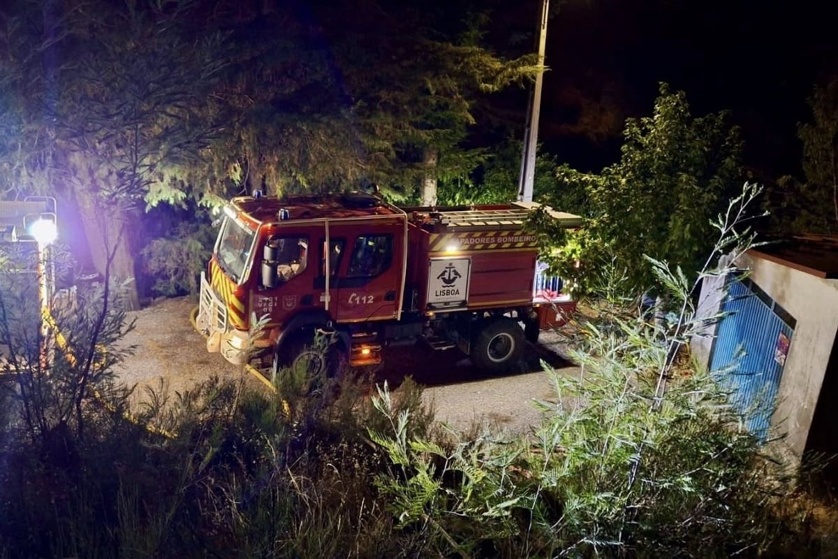 Mais de 350 Sapadores, apoiados por 10 viaturas, asseguraram a proteção de aldeias, populações, animais e floresta nas últimas semanas