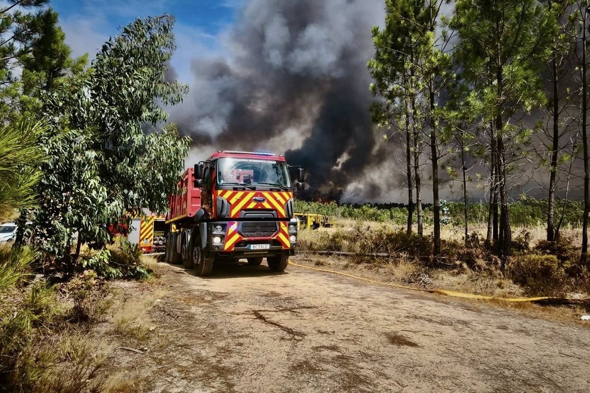 Sapadores de Lisboa regressam de missão em Pedrógão