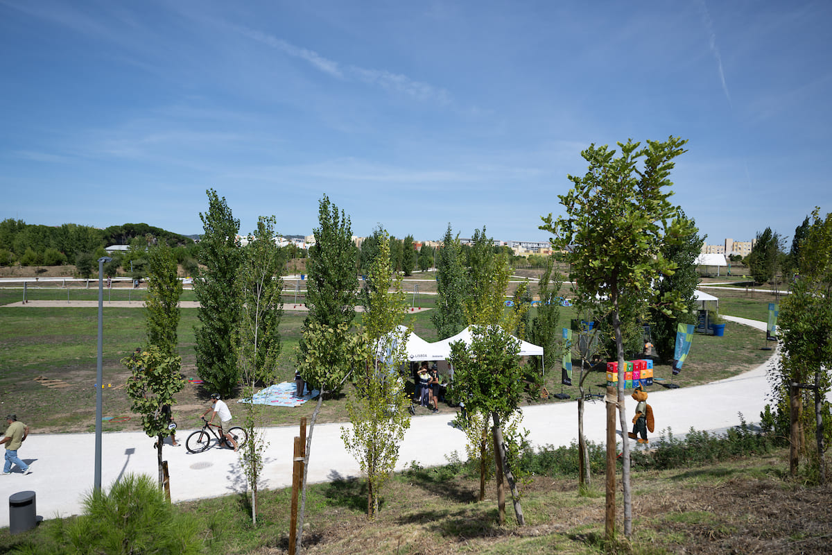 Cerca de 5 900 árvores e 70 000 arbustos, de 70 espécies autóctones diferentes, foram plantadas no novo Parque