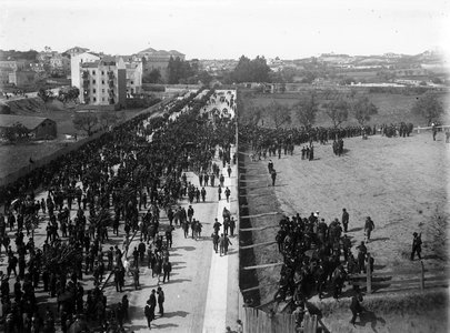 PT/AMLSB/CMLSBAH/PCSP/004/NEG/001433