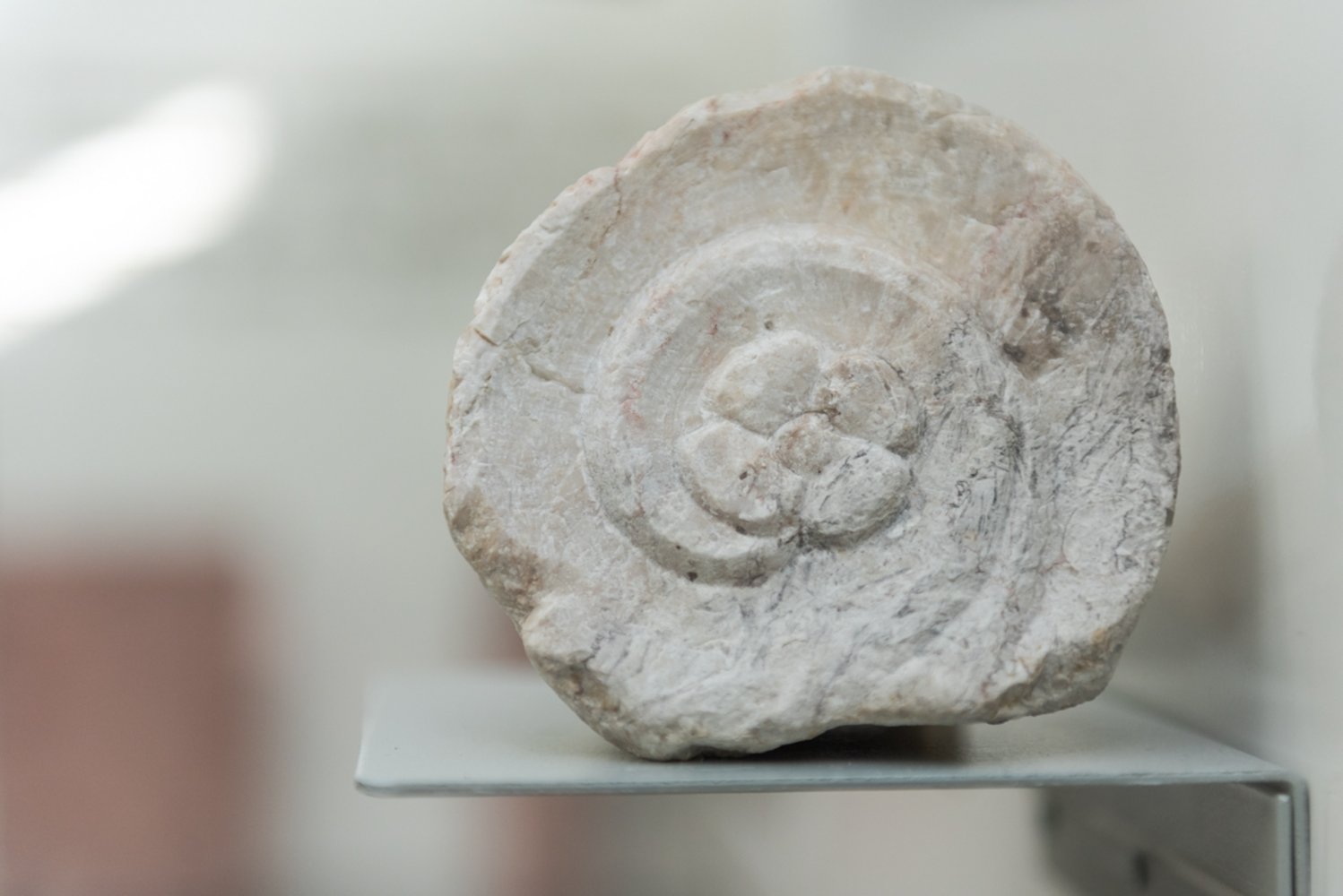 Fragmento de Capitel Jónico