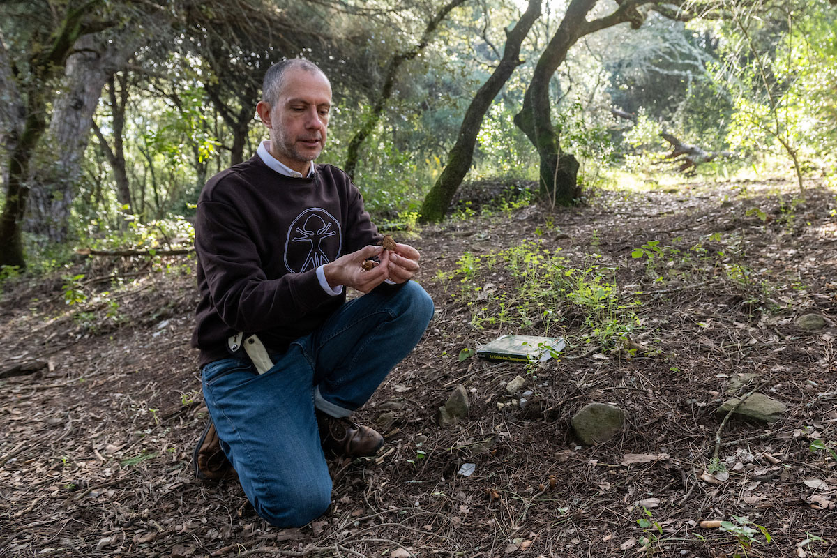 Rui Simão a pegar num cogumelo