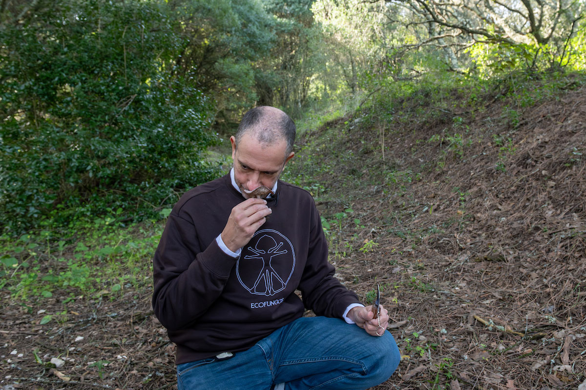 Rui Simão a cheirar o cogumelo